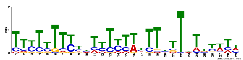 Motif 2 Logo