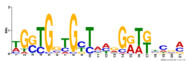Motif 3 Logo