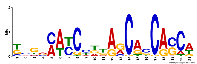 Motif 3 Logo